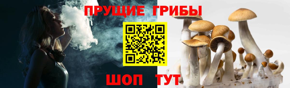 Галлюциногенные грибы прущие грибы  Псилоцибиновые грибы MAGIC MUSHROOMS  Изобильный  Вход с VPN 