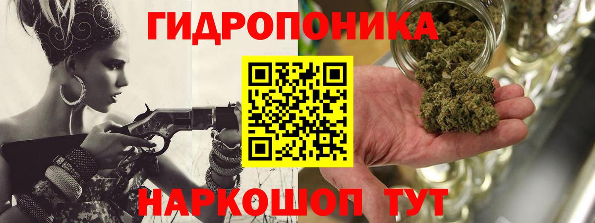 Каннабис планчик  Каннабис гибрид  Изобильный  Вход с VPN 